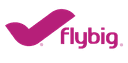 Flybig Logo